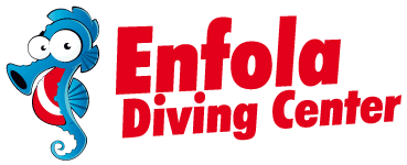Logo Enfola Diving Center