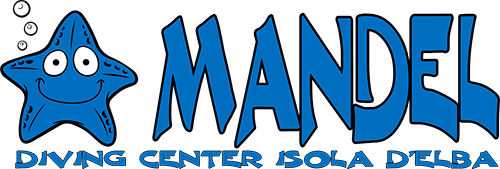 Logo Mandel Diving Center